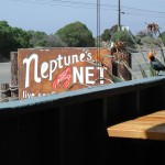 Lunch at Neptunes Net on the Pacific Coast Highway