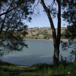 The Lake at Del Valle