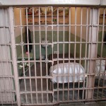 A cell at Alcatraz