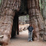 Adam and the California Tunnel Tree (the second tunnel tree)