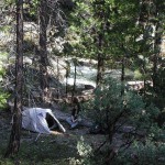 Camp in the hills above Wawona