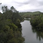 The river at Del Valle - Del Valle Regional Park